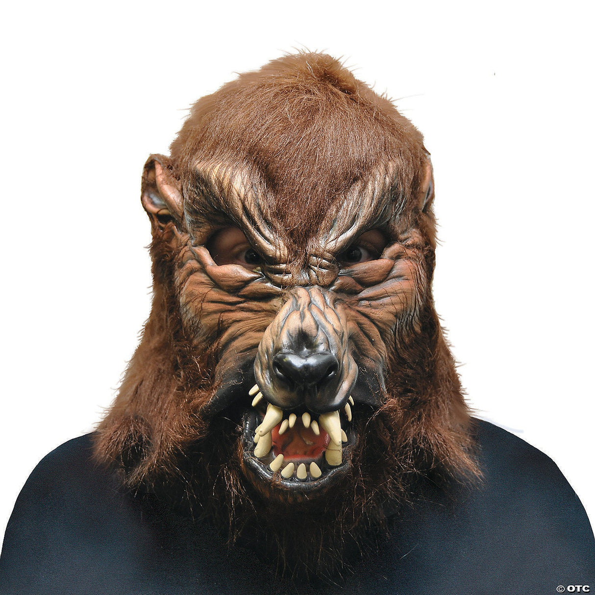 Latex Adult's Howl O Ween Werewolf Mask - Animal Horror Halloween Costume Prop