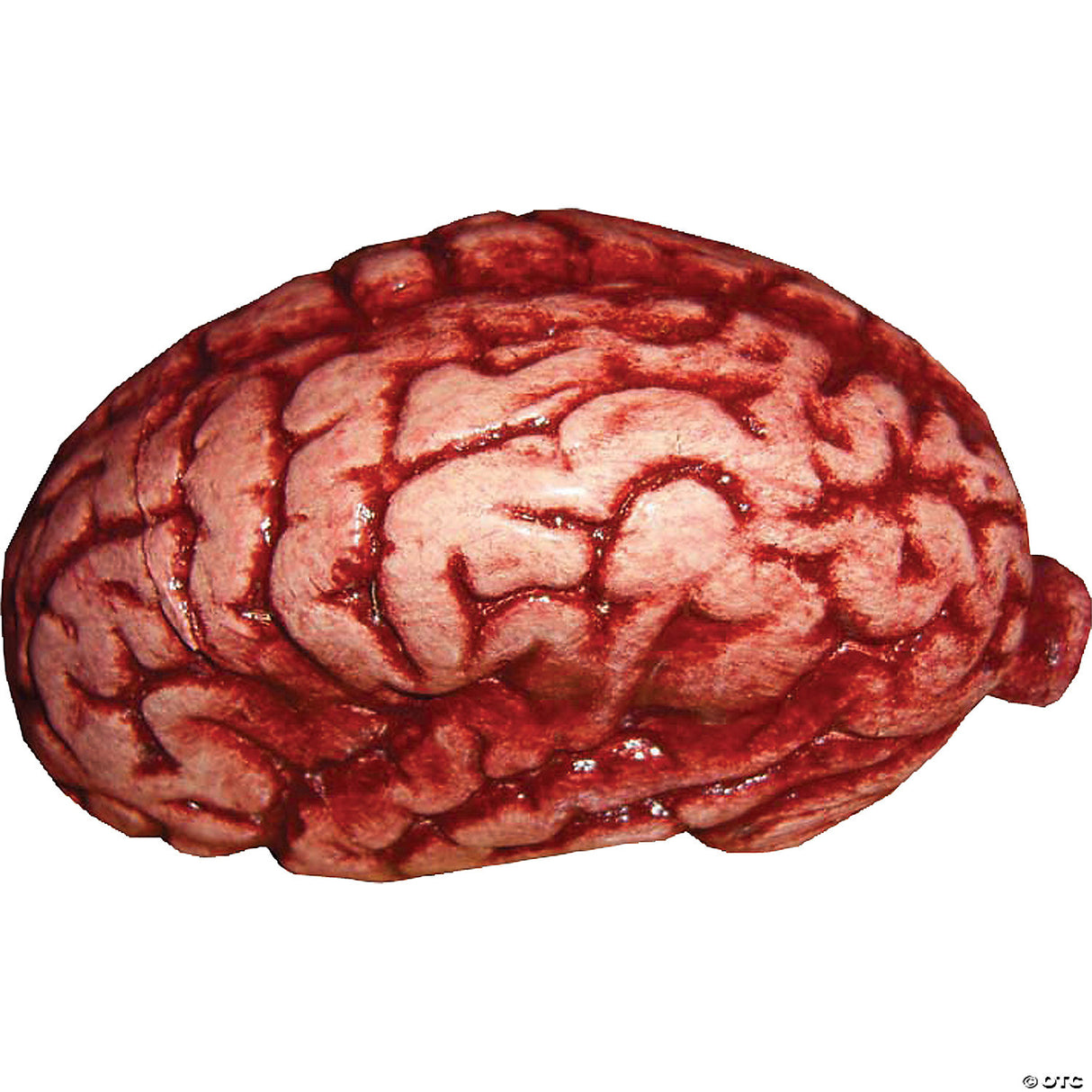 Brain Decoration - Halloween Decoration Party Prop