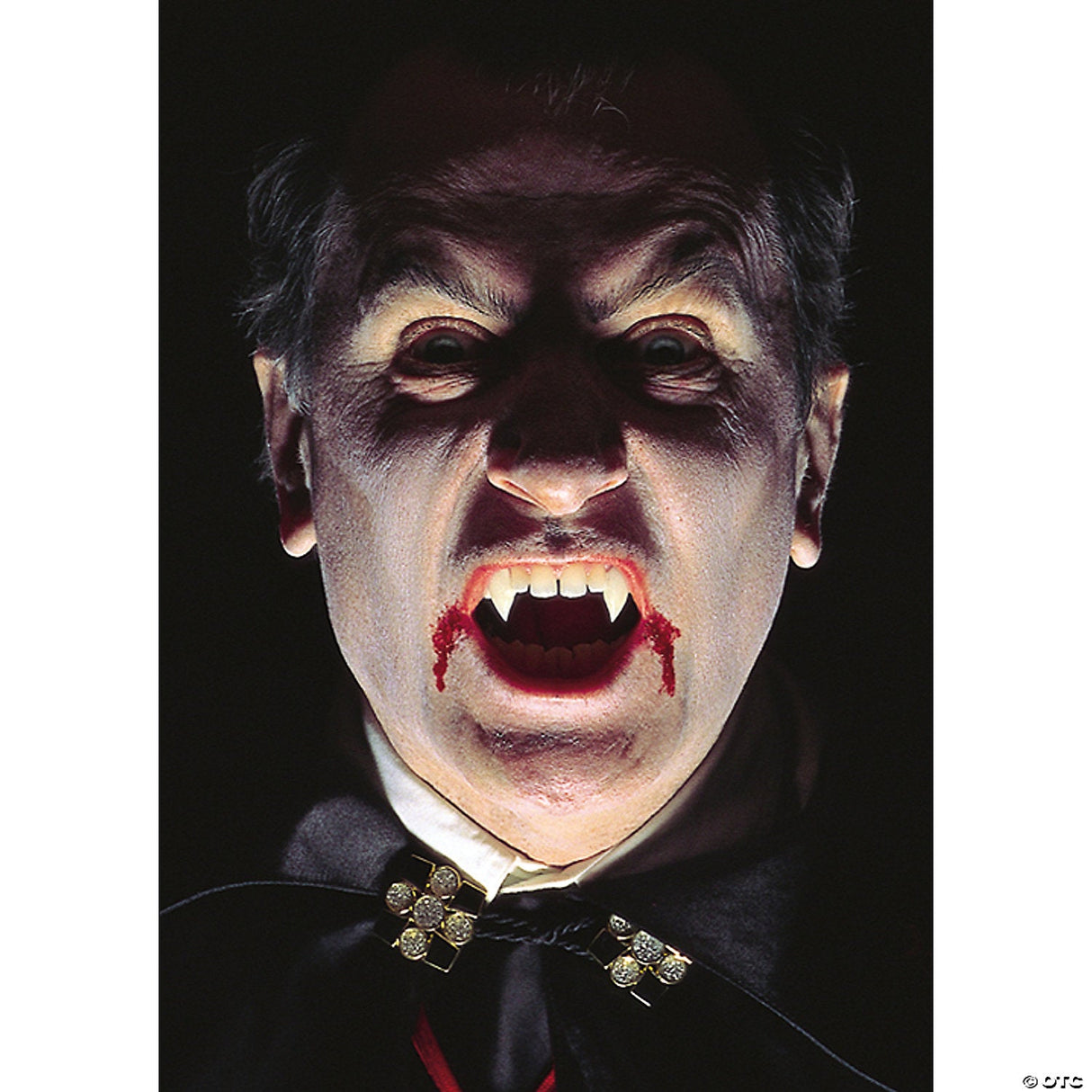 Adult Bilbo Baggins Wig