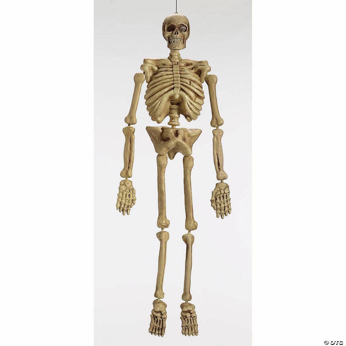 5' Realistic Skeleton Pbh