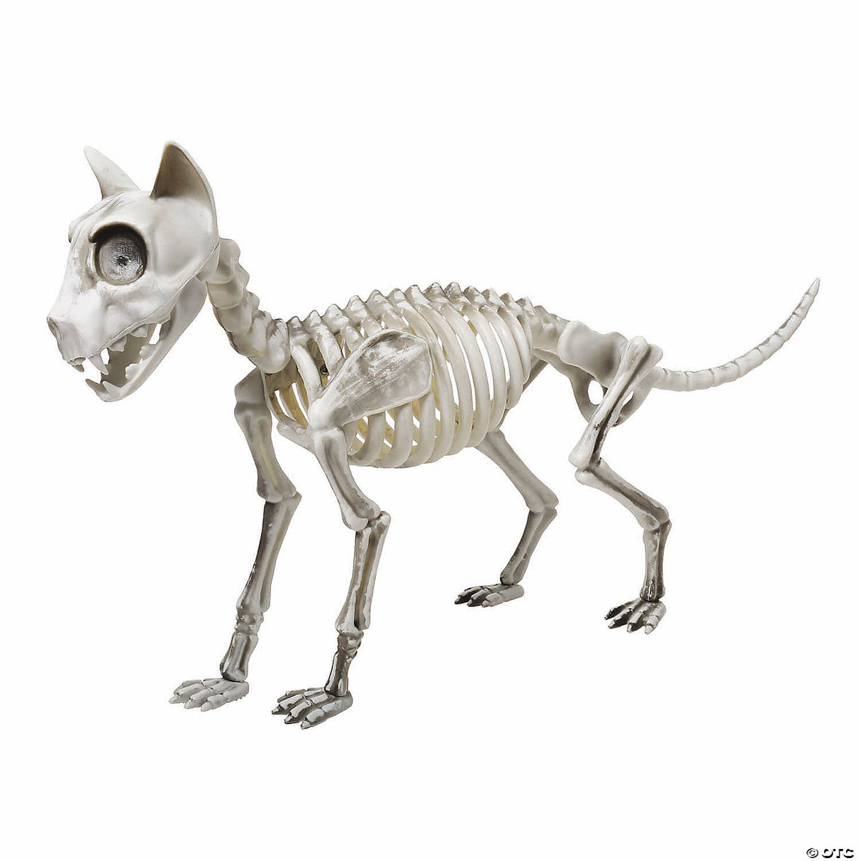 20" Skele-cat Decor - Halloween Decoration Prop Haunted House & Party Décor