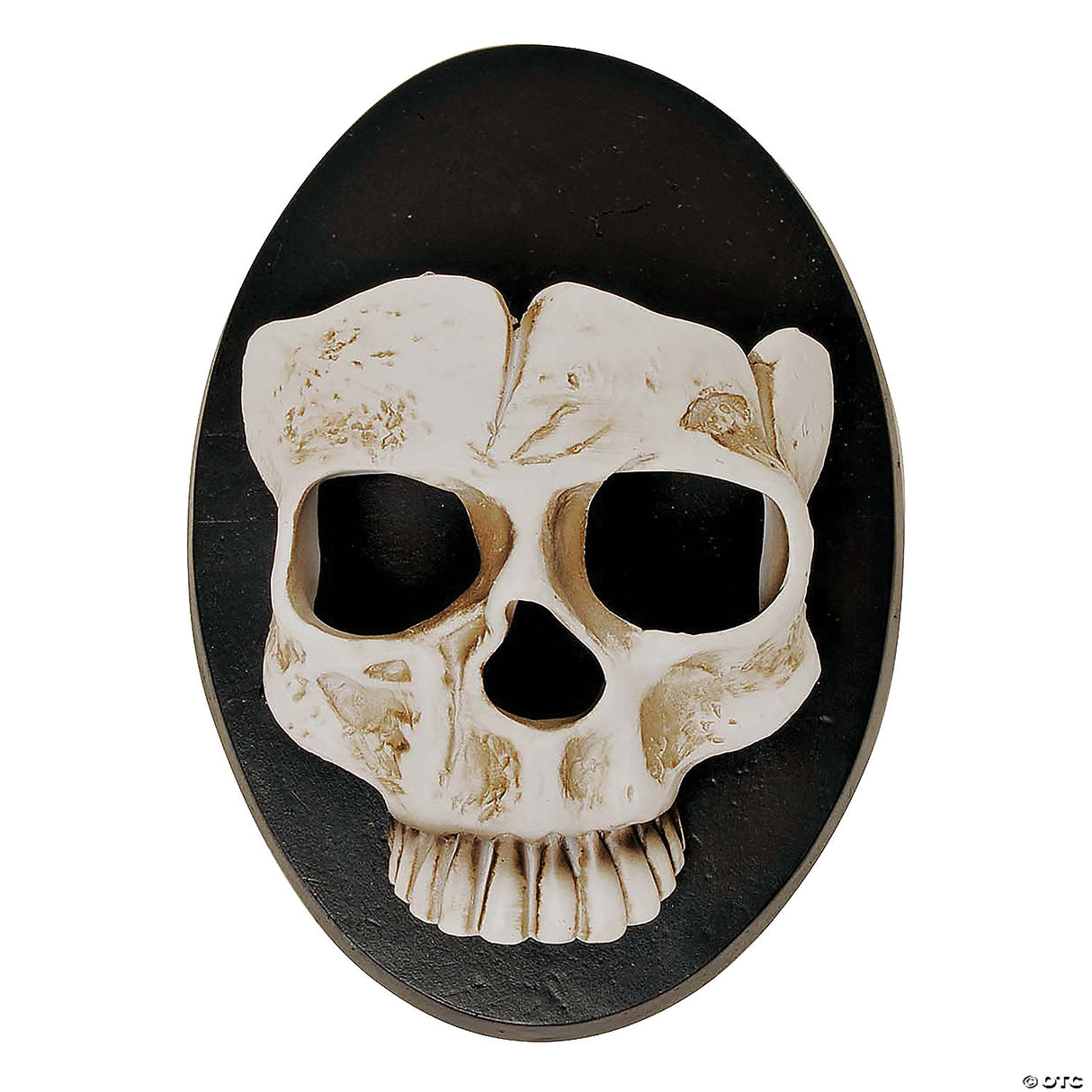6" Skull Wall Sconce Halloween Decor - Halloween Decoration Prop Haunted House