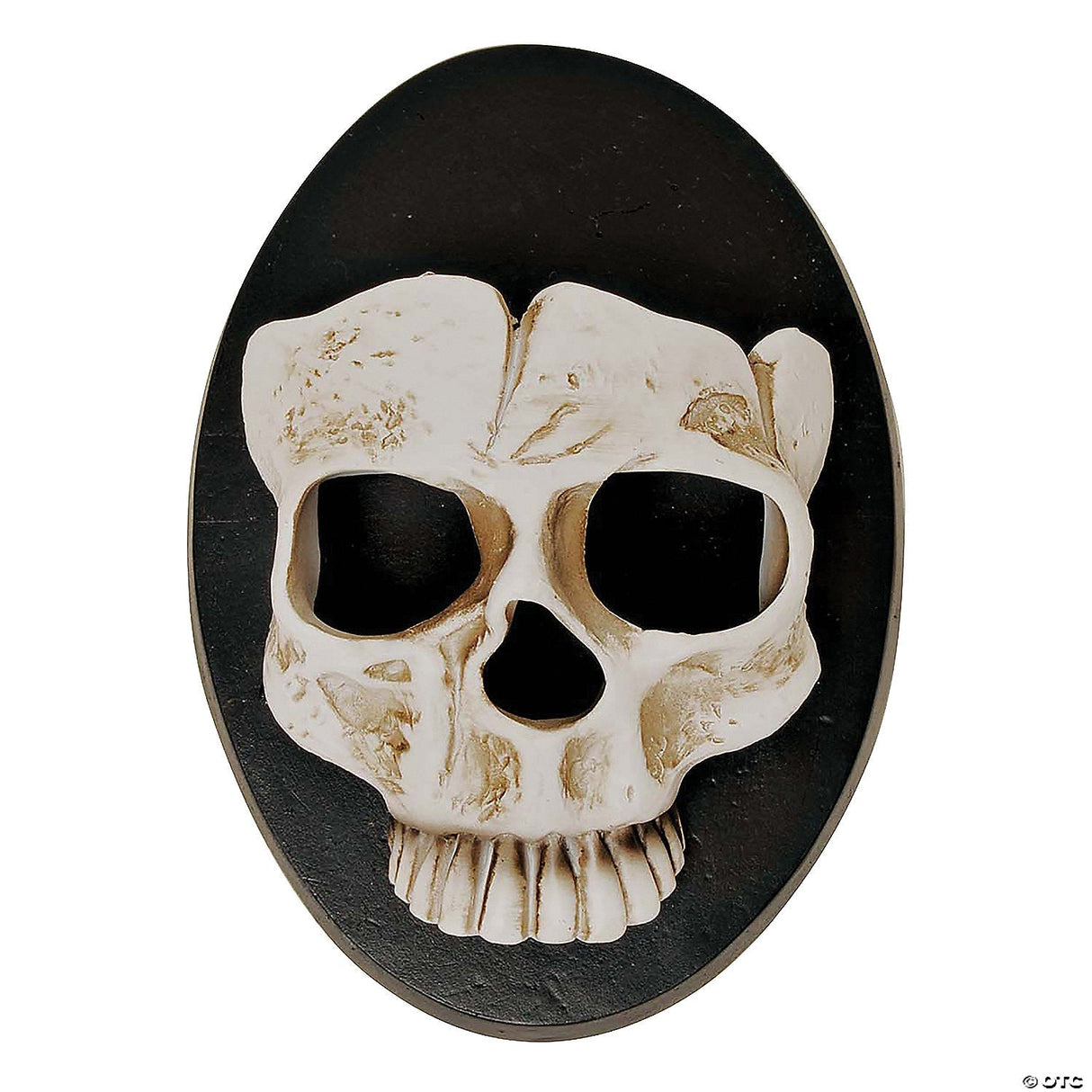 6" Skull Wall Sconce Halloween Decor - Halloween Decoration Prop Haunted House