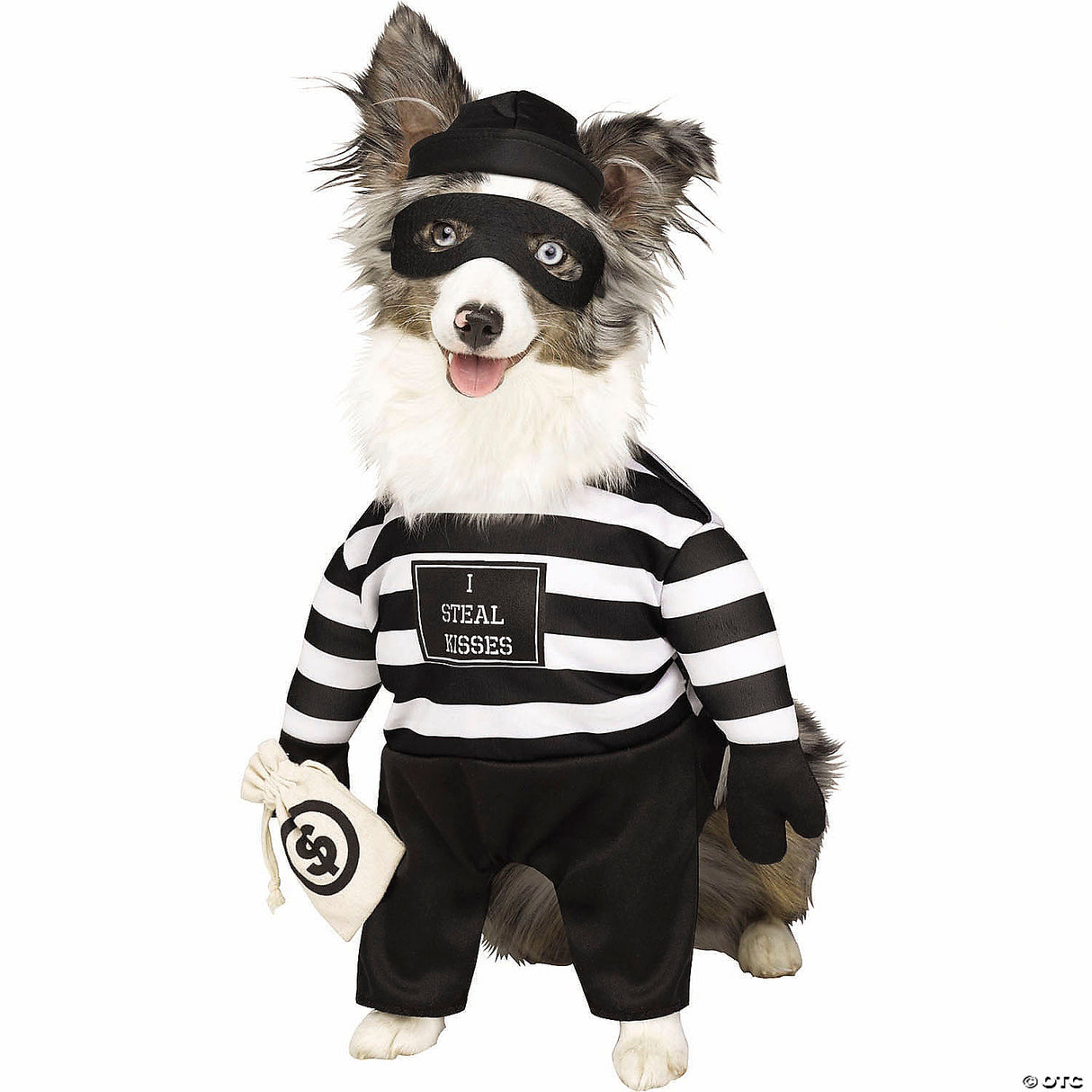 Robber Pup Pet Cstm Sm