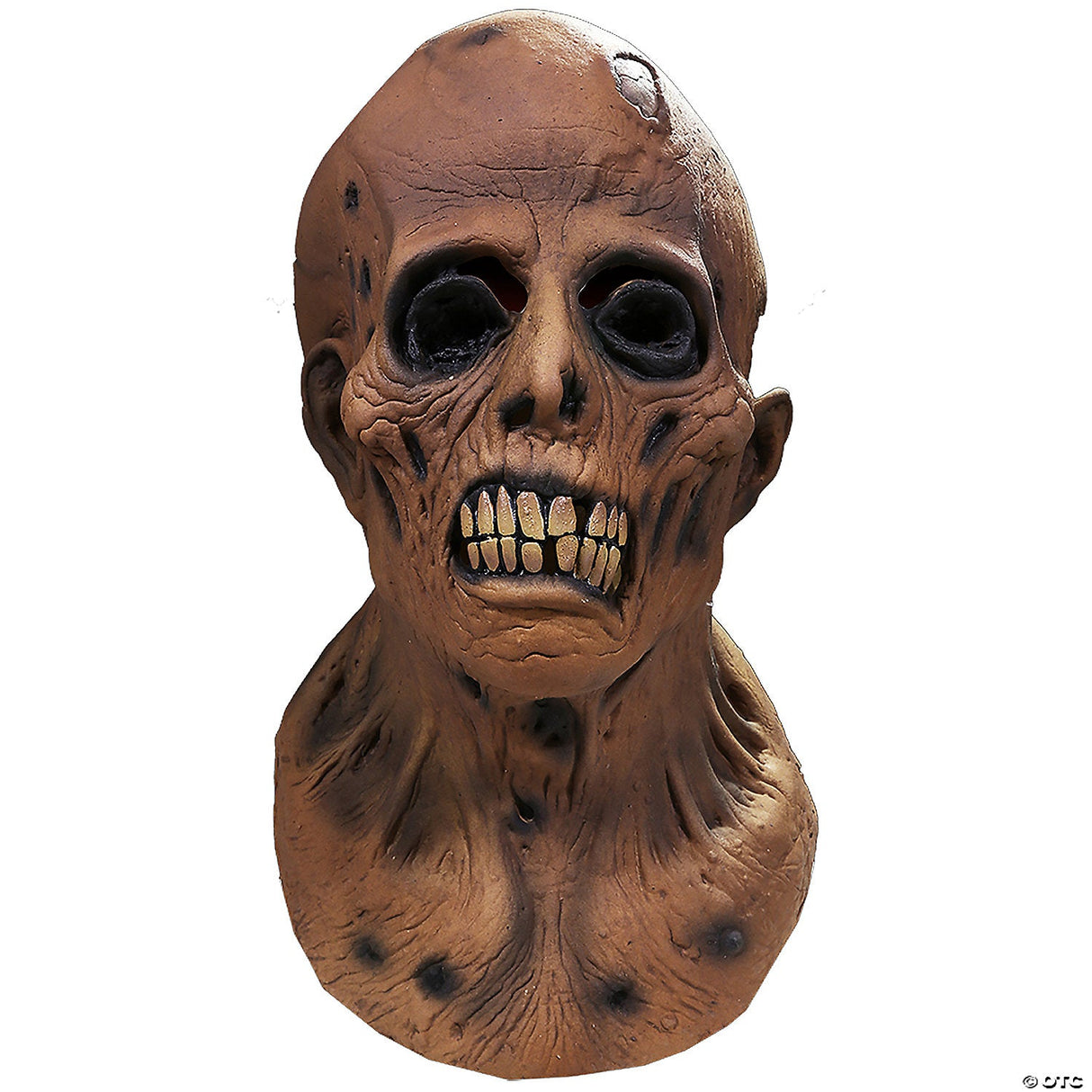The Haunt Of Fear Ghastly Zombie Mask - Scary Halloween Mask Costume Accessory