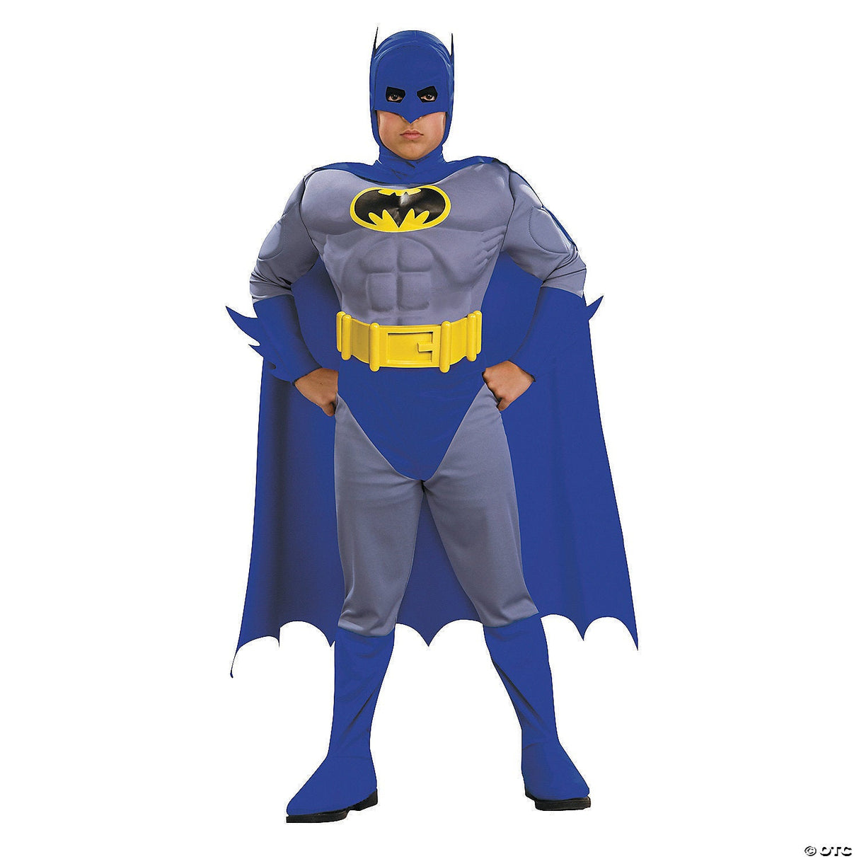 Boy's Brave and Bold Batman™ Costume - Halloween Costume Outfit Dress Up Party