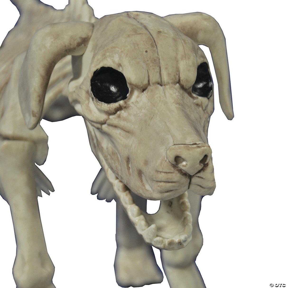 Beagle Bonez Dog Skeleton Halloween Decoration