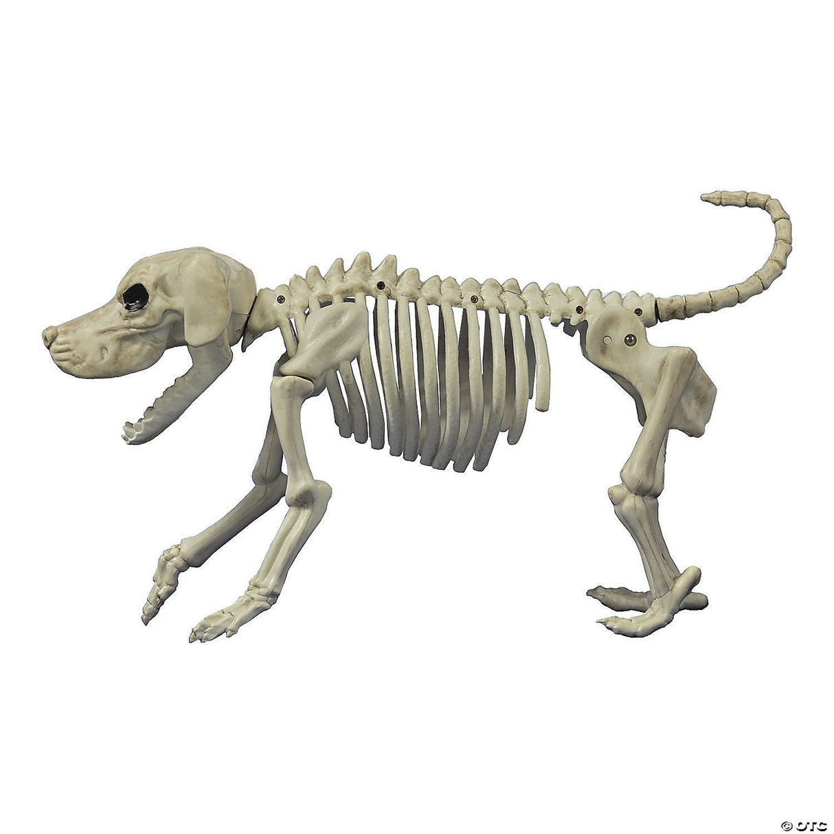 Beagle Bonez Dog Skeleton Halloween Decoration