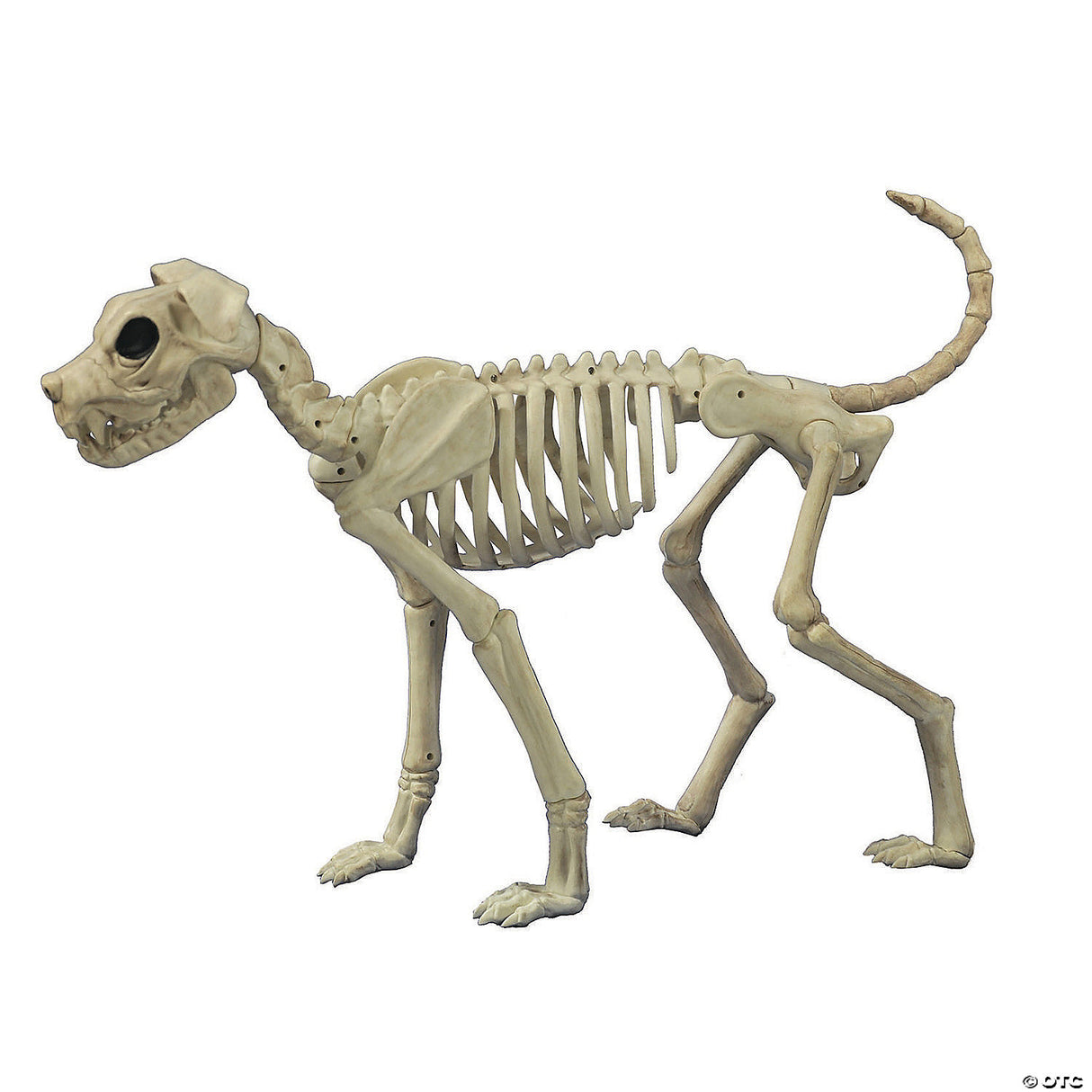 Buster Bonez Dog Skeleton Halloween Decoration