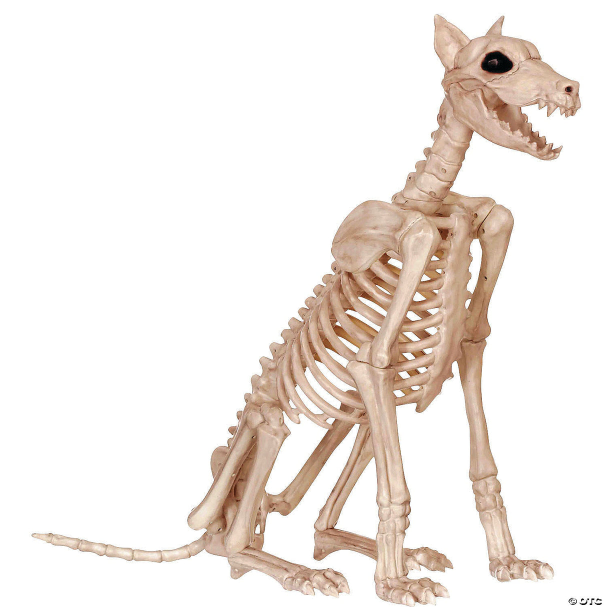 Doberman Skeleton Prop – Creepy Halloween Haunted House Decoration Yard Decor