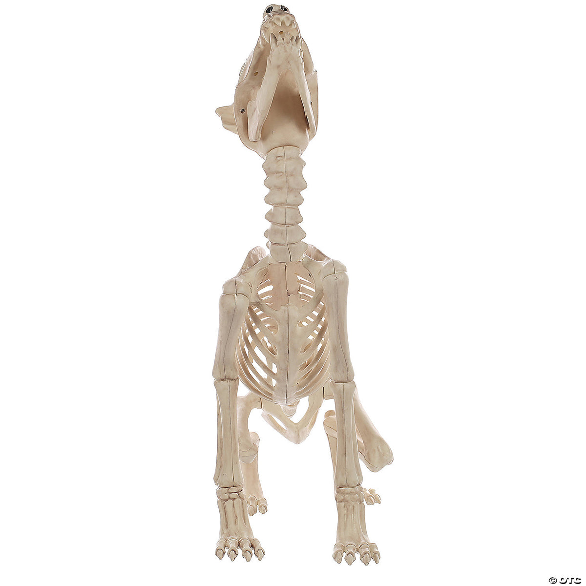 Howling Wolf Skeleton – Creepy Halloween Haunted House Decoration Prop