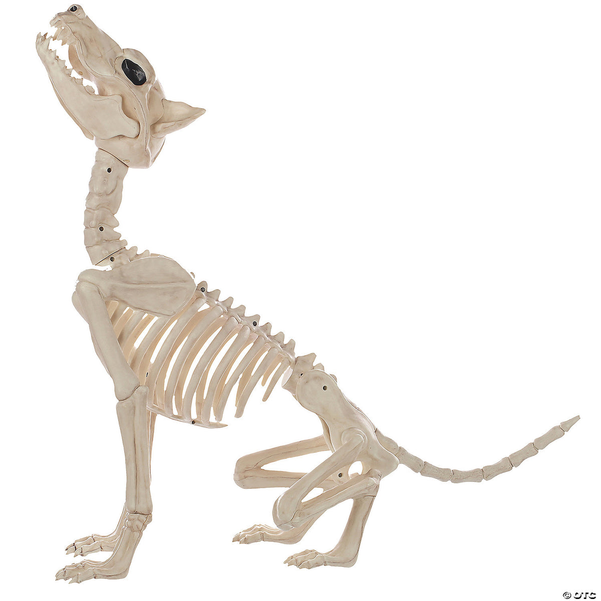 Howling Wolf Skeleton – Creepy Halloween Haunted House Decoration Prop