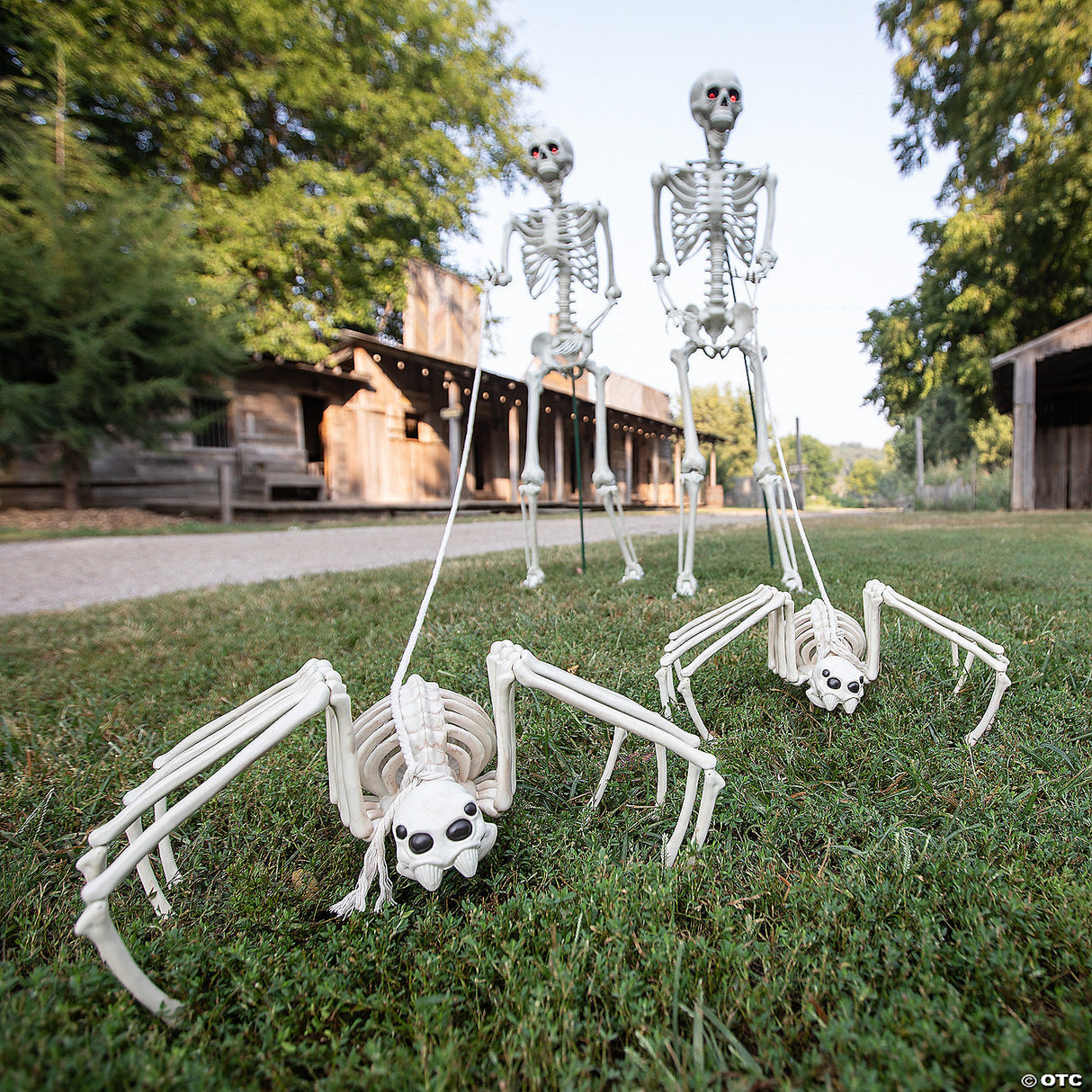 Spider Skeleton Decoration – Creepy Halloween Haunted House Party Prop