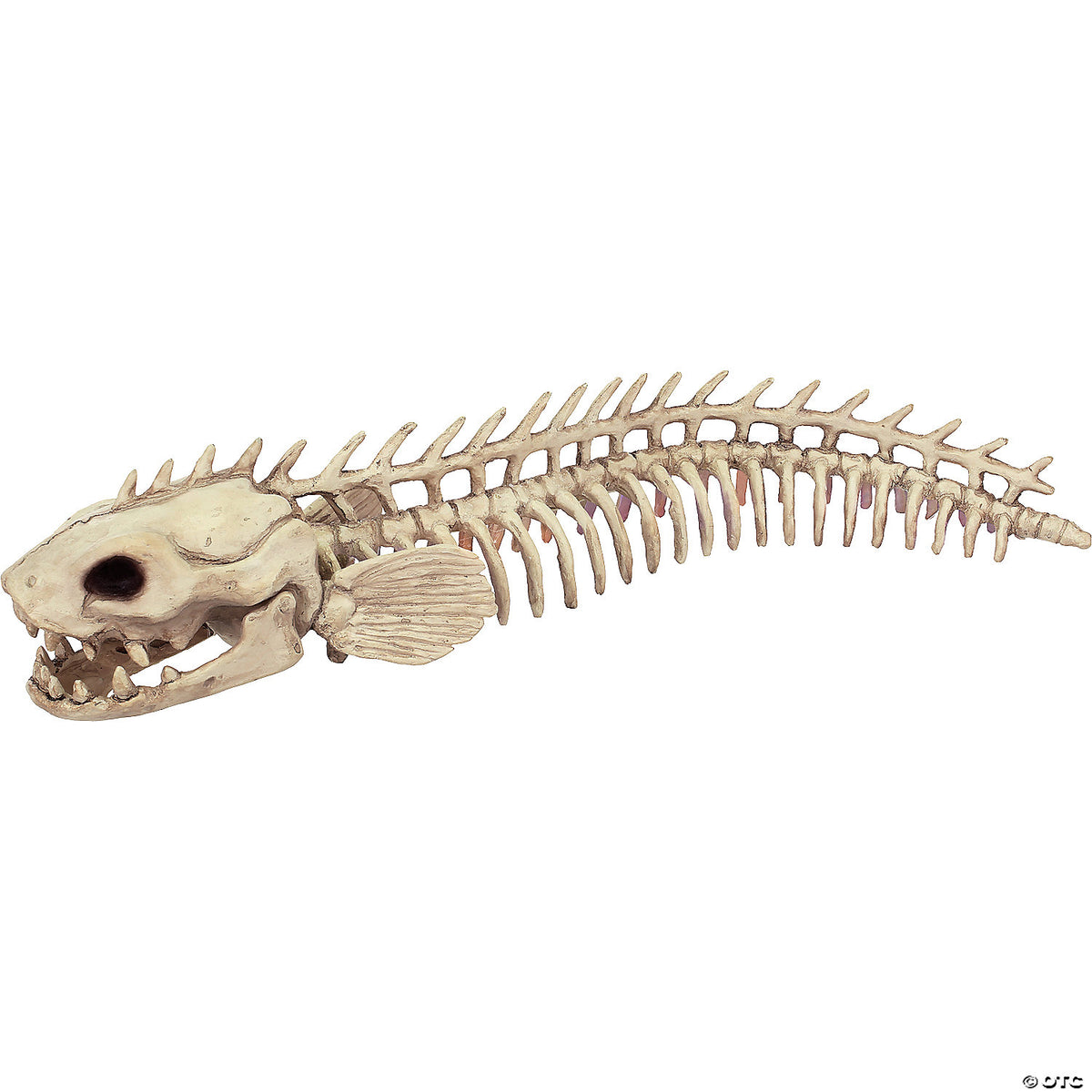 19.5" Skeleton Eel Prop – Creepy Halloween Haunted House Decoration