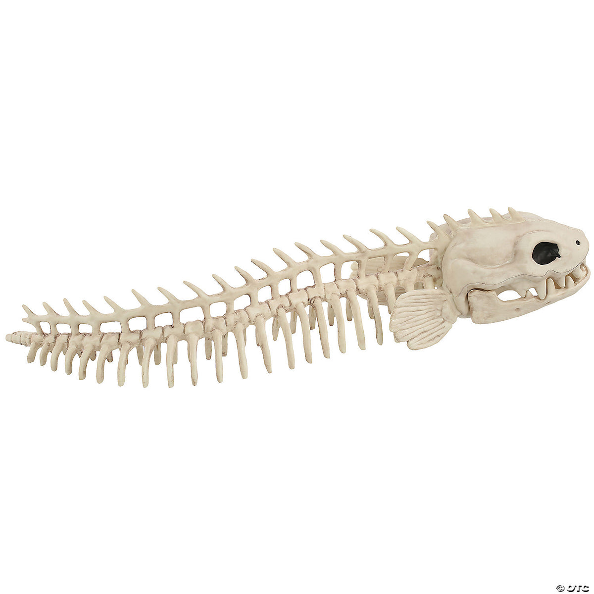 19.5" Skeleton Eel Prop – Creepy Halloween Haunted House Decoration