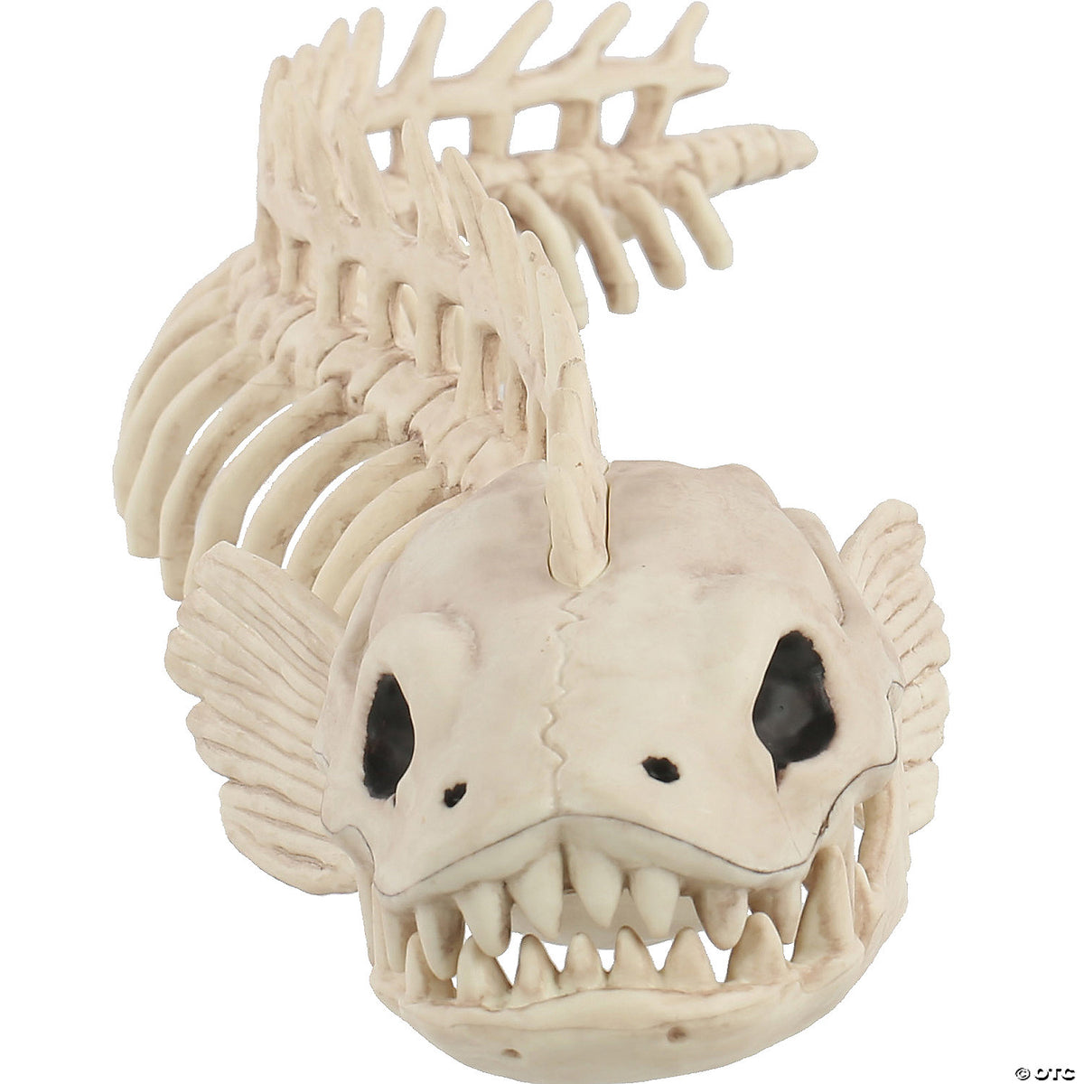 19.5" Skeleton Eel Prop – Creepy Halloween Haunted House Decoration