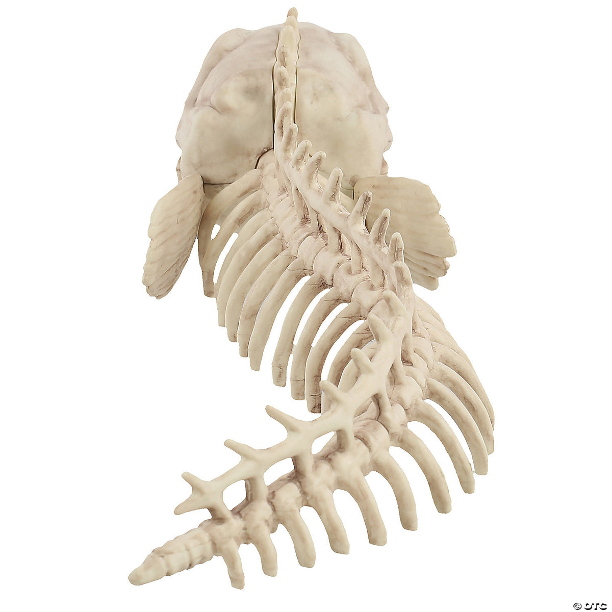 19.5" Skeleton Eel Prop – Creepy Halloween Haunted House Decoration