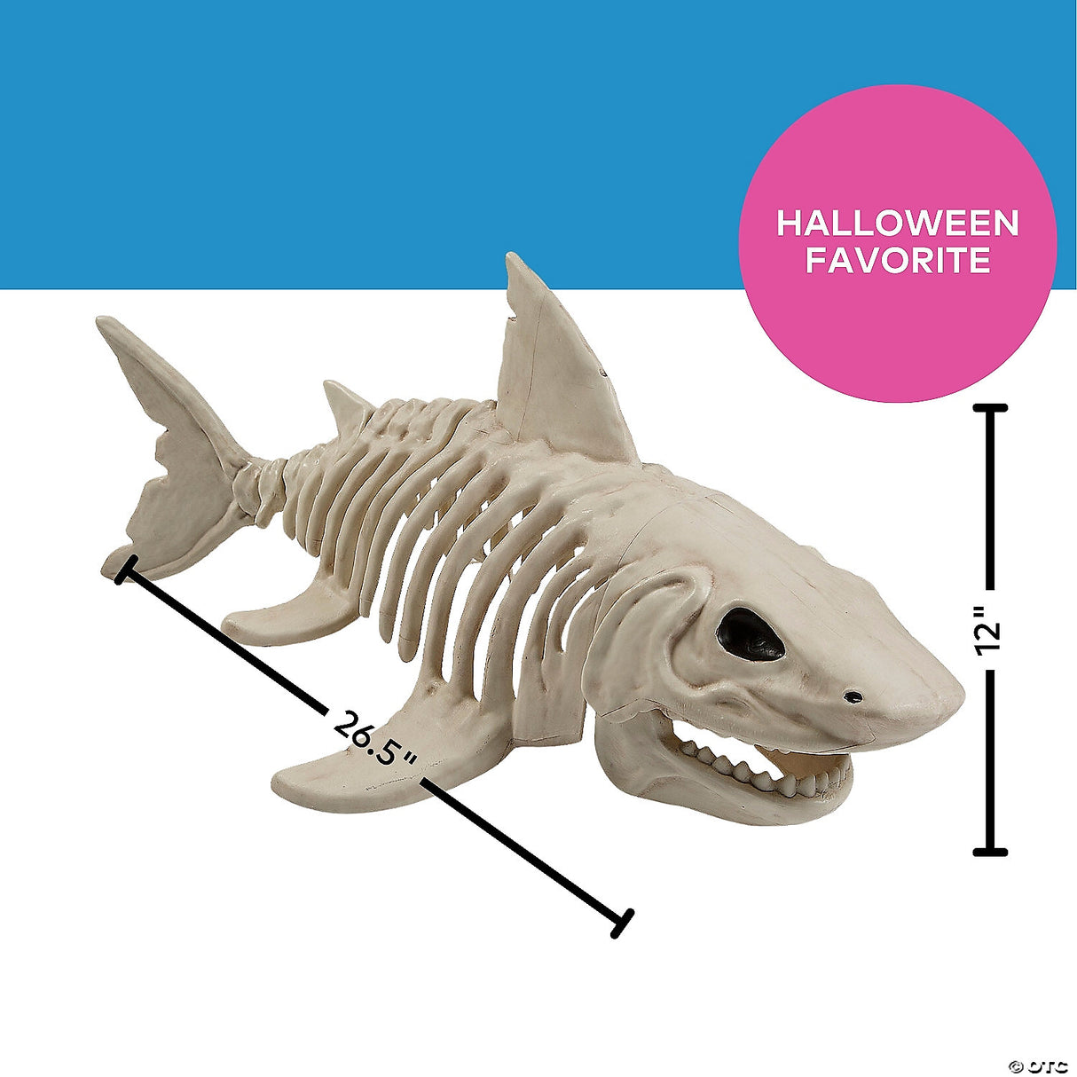 Shark Skeleton