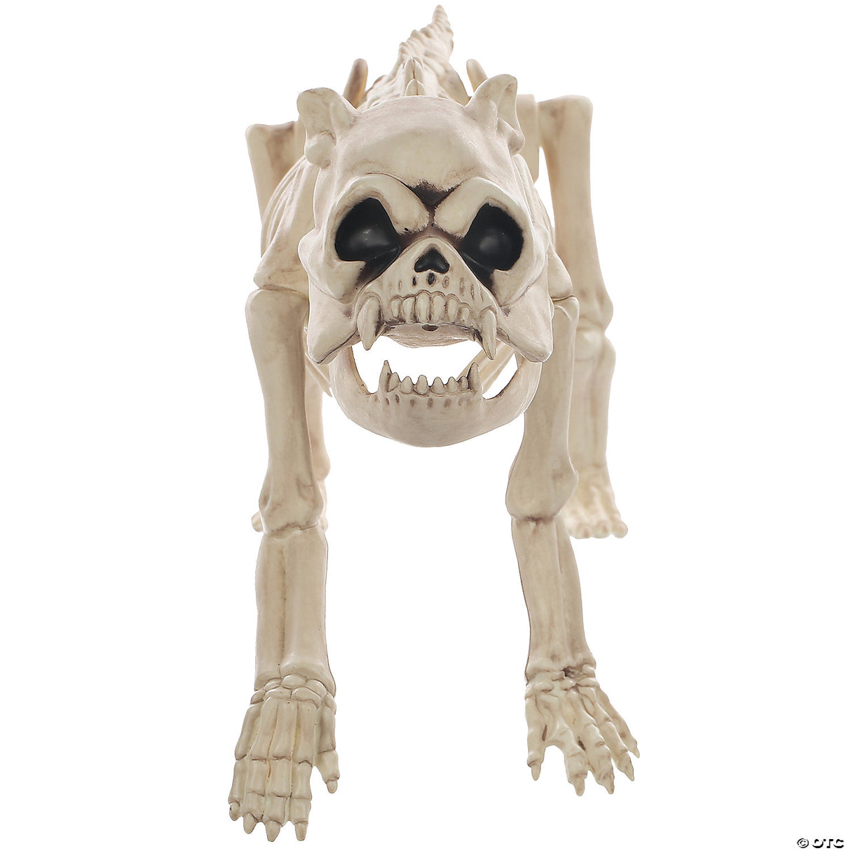 Skeleton Bones The Dog Prop