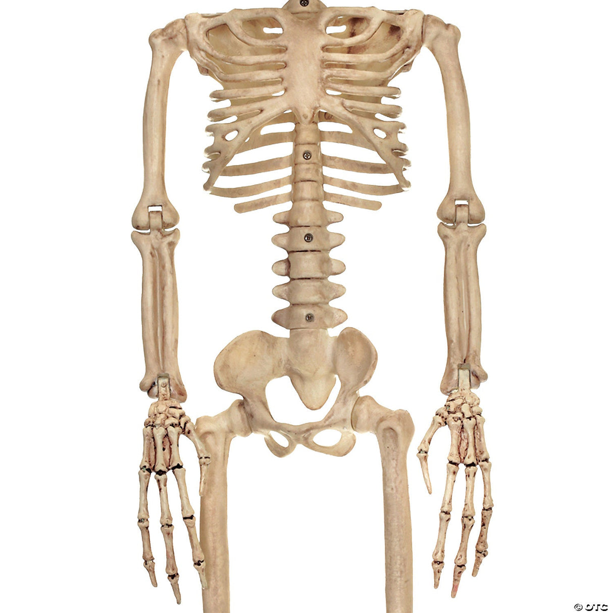 Creepy Crawling Mouse