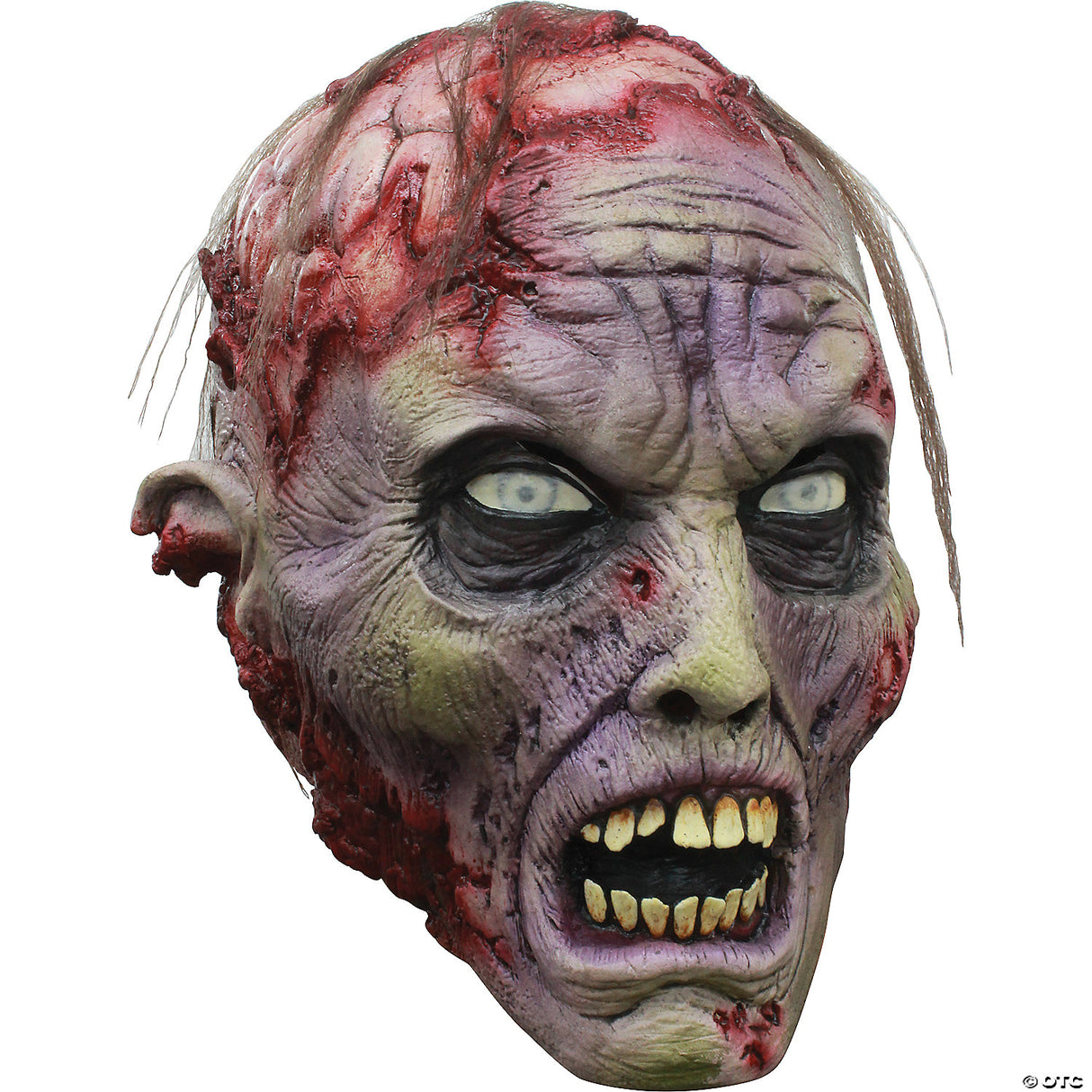 Zombie Mask - Scary Halloween Mask Horror Costume Accessory