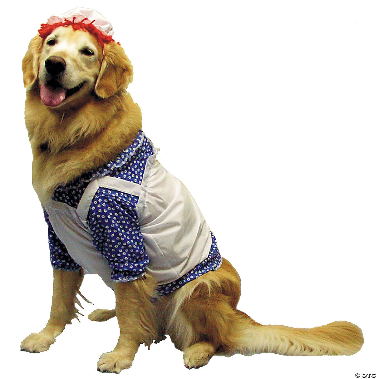 RAGGEDY ANN DOG COSTUME SM