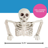 15 3/4" X 10 3/4" Tabletop White Plastic Half Skeleton Halloween Decoration