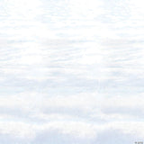 Snowscape Backdrop