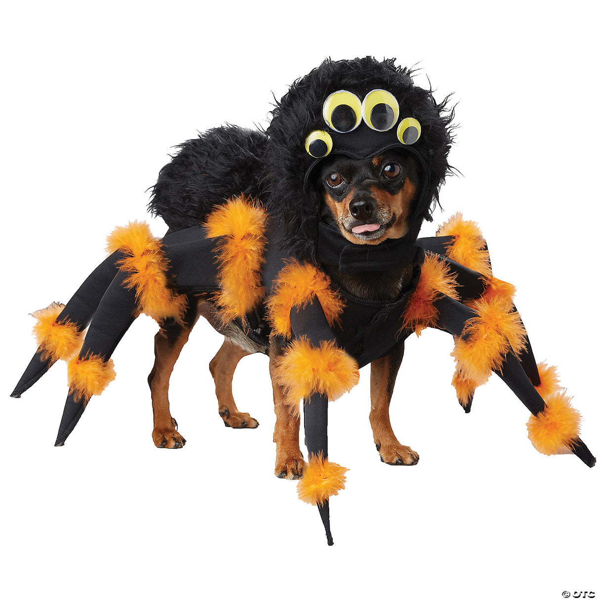 PET SPIDER COSTUME