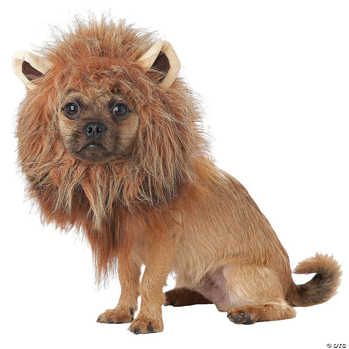 KING OF JUNGLE DOG COSTUME SM