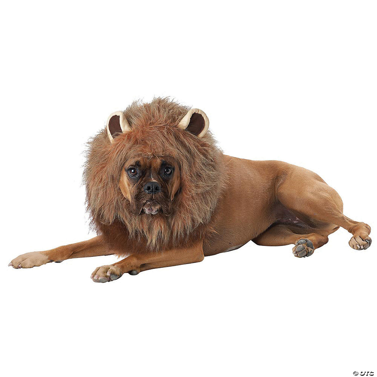 KING OF JUNGLE DOG COSTUME SM