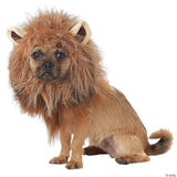 KING OF JUNGLE DOG COSTUME SM