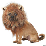 KING OF JUNGLE DOG COSTUME SM