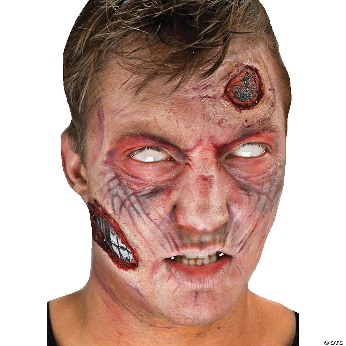 Complete 3d Fx Zombie Makeup Kit