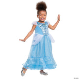 CINDERELLA ADAPTIVE COSTUME TODD 3T-4T