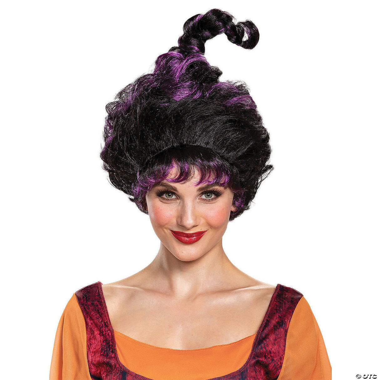 Adults Disney's Hocus Pocus Mary Deluxe Wig