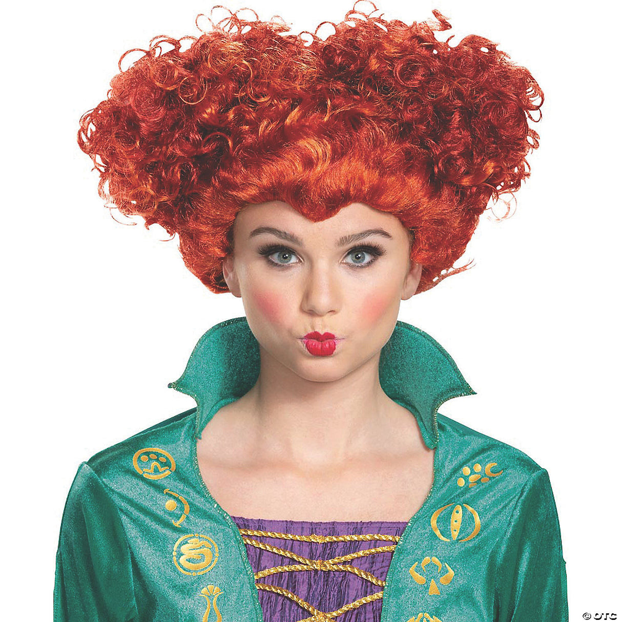 Adults Disney's Hocus Pocus Wini Deluxe Wig