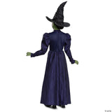 Girl’s Deluxe Wicked™ Elphaba Purple Dress Costume - Large 10-12