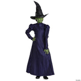 Girl’s Deluxe Wicked™ Elphaba Purple Dress Costume - Large 10-12