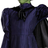 Girl’s Deluxe Wicked™ Elphaba Purple Dress Costume - Large 10-12