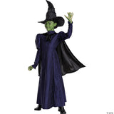 Girl’s Deluxe Wicked™ Elphaba Purple Dress Costume - Medium 7-8