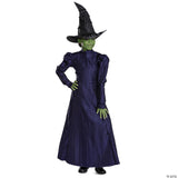 Girl’s Deluxe Wicked™ Elphaba Purple Dress Costume - Medium 7-8