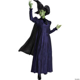 Women’s Deluxe Wicked™ Elphaba Costume - Medium 8-10