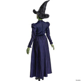 Women’s Deluxe Wicked™ Elphaba Costume - Medium 8-10