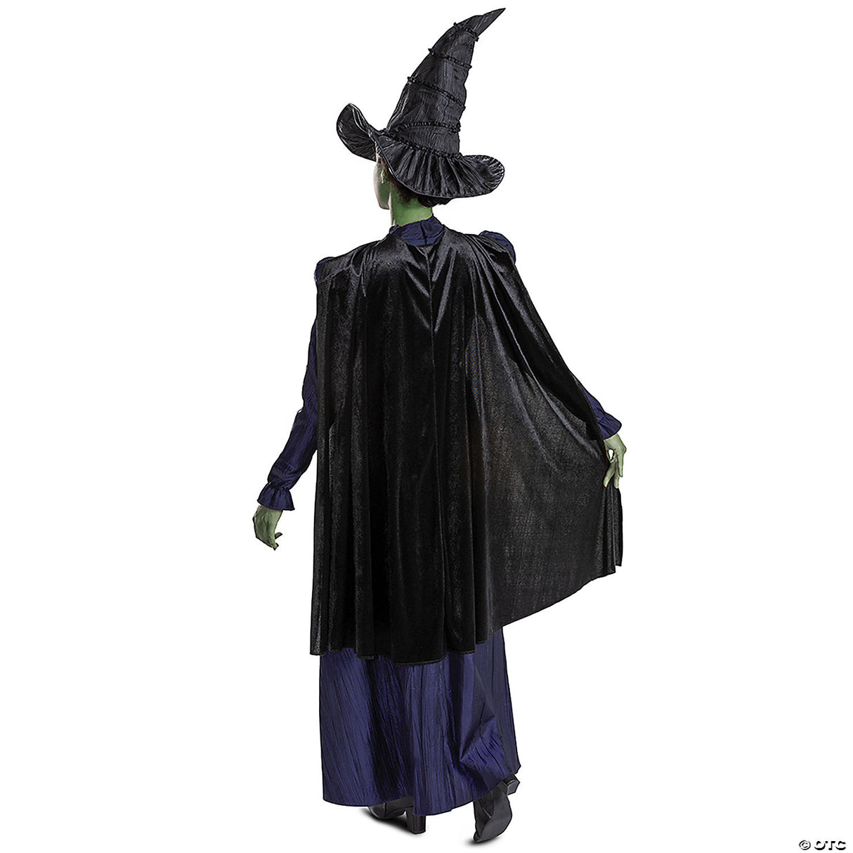 Women’s Deluxe Wicked™ Elphaba Costume - Small 4-6