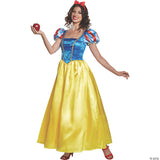 WMN SNOW WHITE DELUXE CSTM 4-6