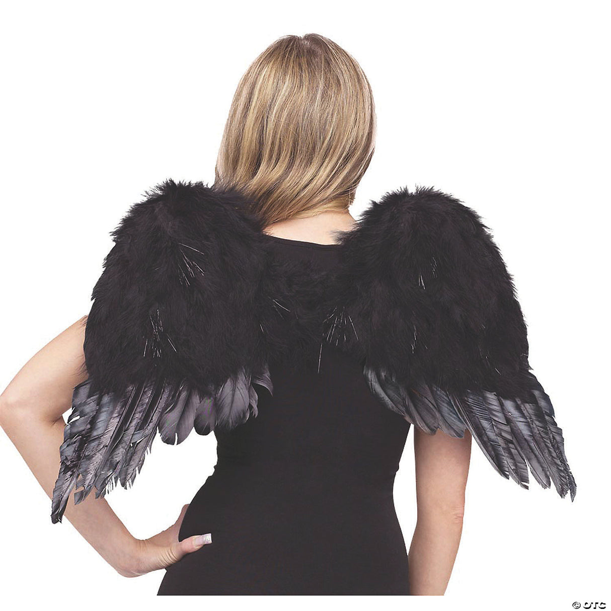 ANGEL WINGS FEATHR CHLD WHT