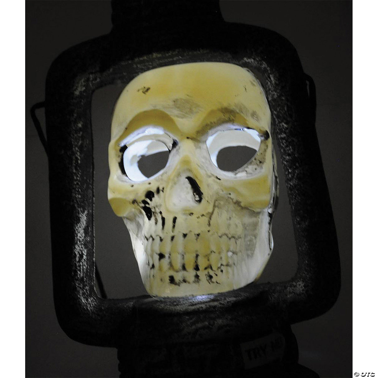 Skull Lantern Light Up