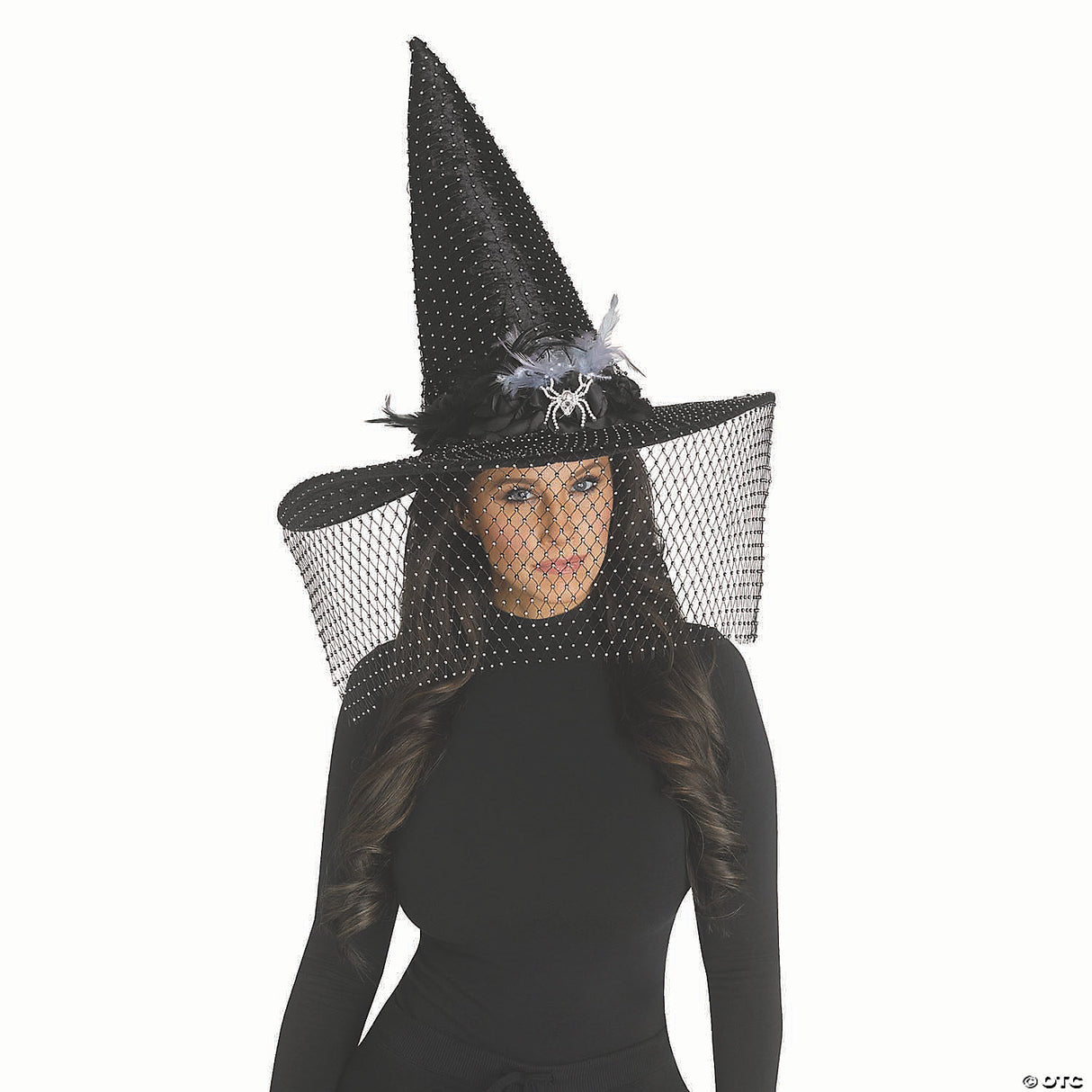 Witch Hat Bling Veil