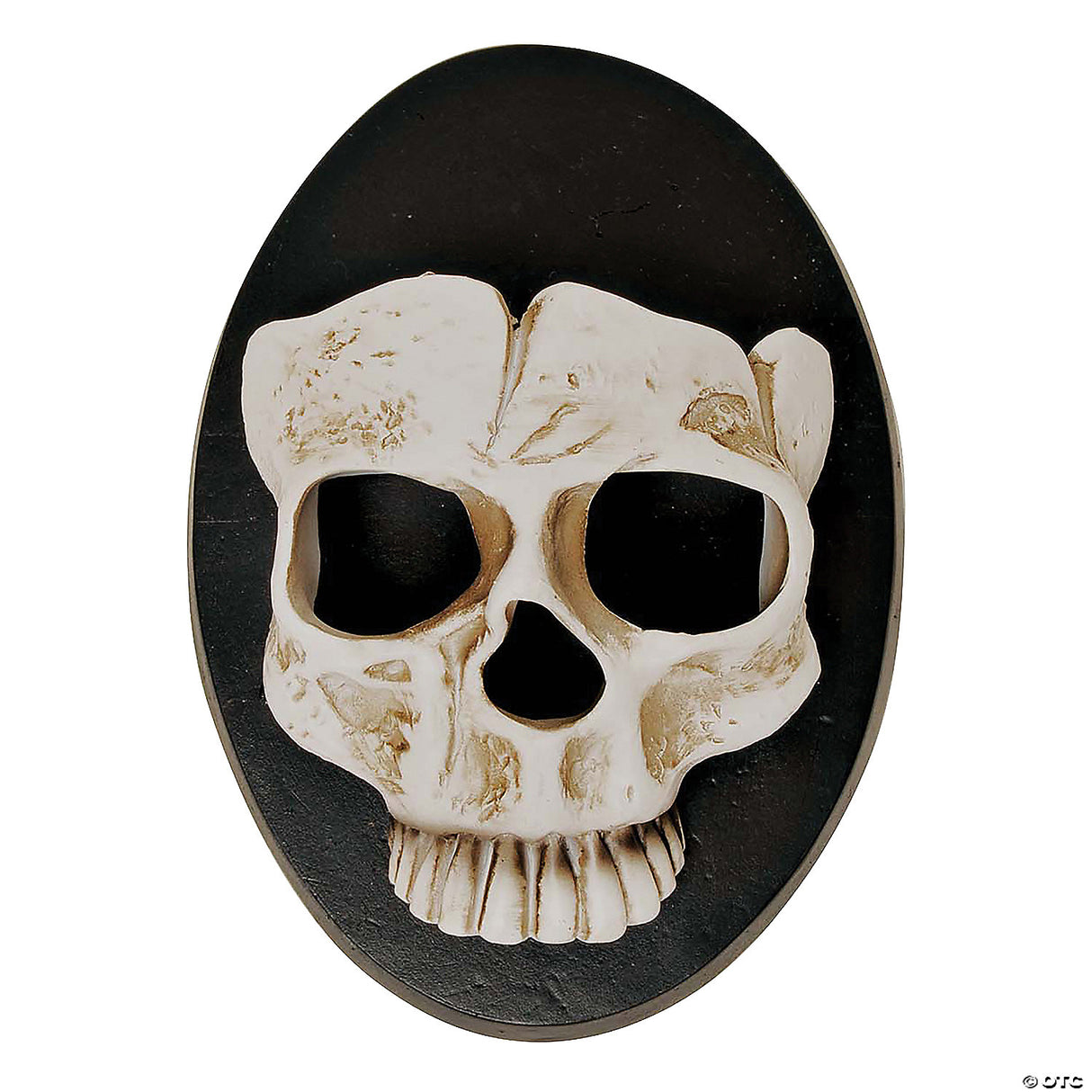 6" Skull Wall Sconce Halloween Decor